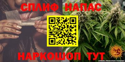 гидропоника Будённовск