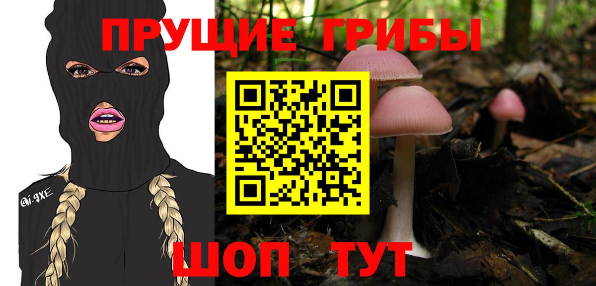 Лабинск  Галлюциногенные грибы Cubensis  Вход с VPN 